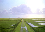 Artists of Humboldt County: Stock Schlueter
