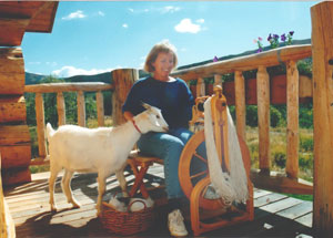 Ranching in Colorado