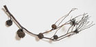 Deborah Caperton, Large Eucalyptus Branch