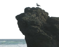 Living on the Edge