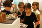 Arts in the Schools
