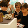 Arts in the Schools
