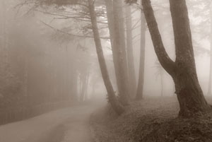 Photo by Bill Apton
