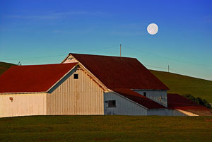 Photo by Bill Apton