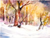 Atmospheric Landscapes