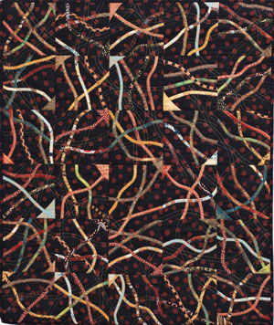 Hot Quilts from Cold Scraps - New Directions