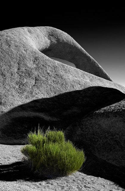 The May Show 2012: Third Place: Protect Me, archival pigment on etching paper, by Ron Bolander