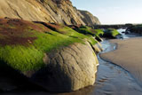 Photography by Tom Eckles