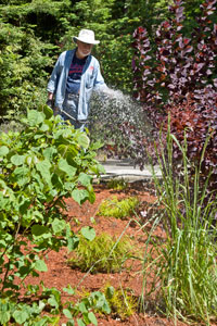 Gualala Arts Center Beautification Day