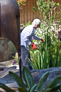 Gualala Arts Center Beautification Day