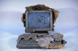 Ann Savageau, computer
