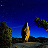 Lone Sentinel, &copy; 2012 Jim White