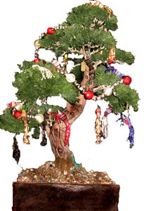 Nickodem and Reichhold bonsai