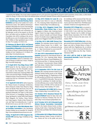 BCI Bonsai & Stone Appreciation Magazine Q1 2013 calendar