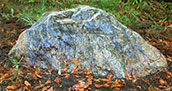 Serpentine from Trinity River, Art Horvath, Mt. Shasta, CA & Peter Mullins, Gualala, CA