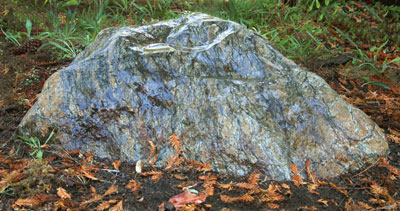 Serpentine from Trinity River, Art Horvath, Mt. Shasta, CA & Peter Mullins, Gualala, CA