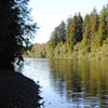 Gualala River Sightings
