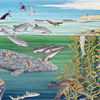 Marine Mammals