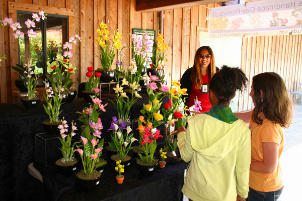 Gualala Arts: Fine Arts Fair