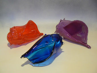 Shells, by Mike Hanson
