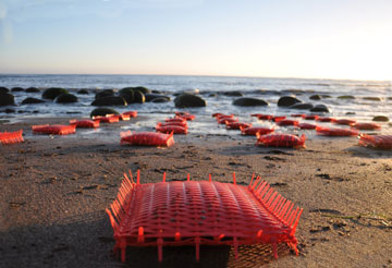 meditation pillows at Bowling Ball Beach