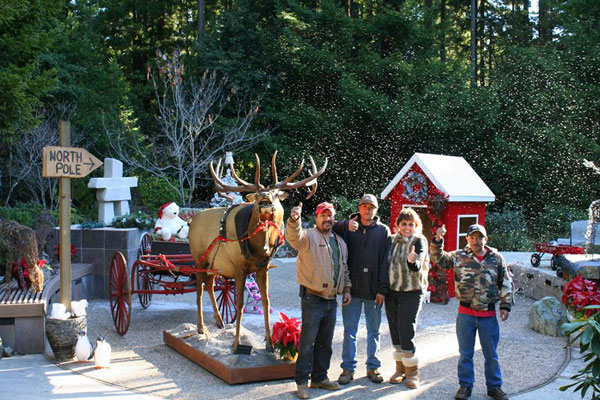 Festival of Trees, November, 2013