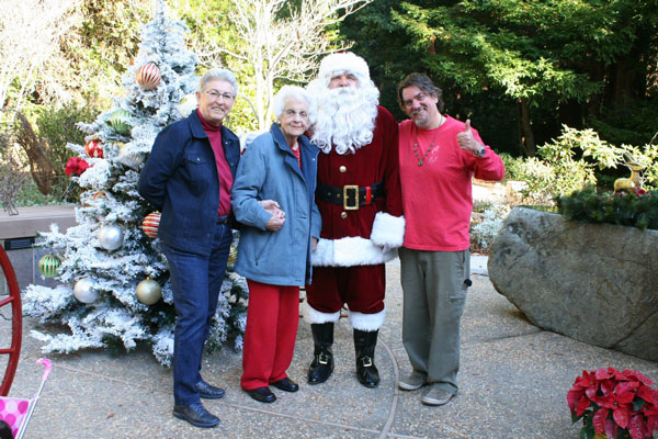 Festival of Trees, November, 2013