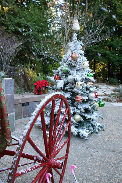 Festival of Trees, November, 2013