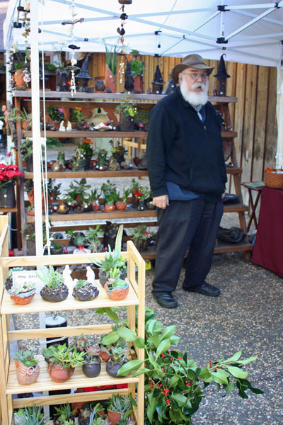 Festival of Trees, November, 2013