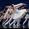 San Francisco Ballet Dancers, photo &copy;: Erik Tomasson