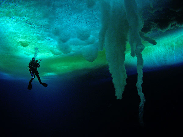 Under Antarctic Ice, with Henry Kaiser