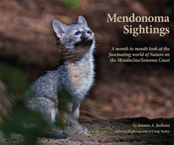 Mendonoma Sightings Throughout the Year - book cover