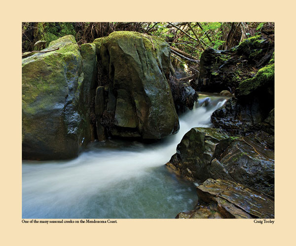 Mendonoma Sightings, Creeks