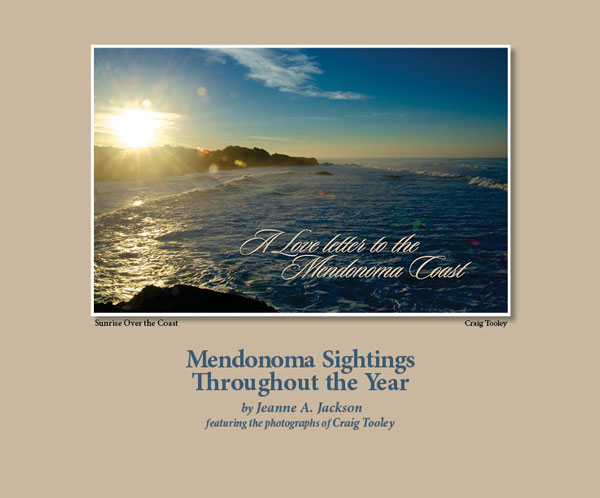 Mendonoma Sightings, Love Letter