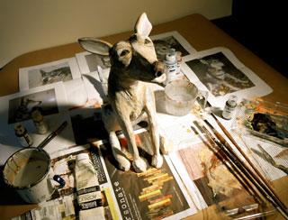 Cora waiting for paint