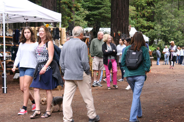 Art in the Redwoods Festival, Gualala Arts Center, August, 2014