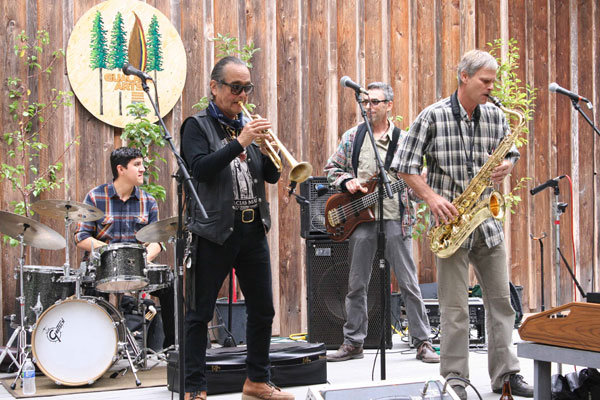 Art in the Redwoods Festival, Gualala Arts Center, August, 2014