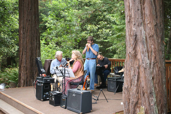 Art in the Redwoods Festival, Gualala Arts Center, August, 2014