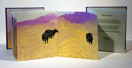 Michelle Wilson: Wildcat Canyon