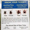 Know your ticks - poster