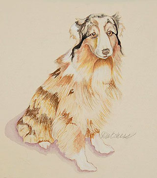 Dutchess, by Genevieve Wilson