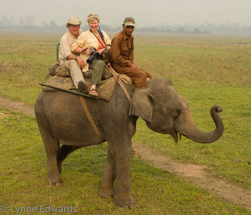 Riding an Indian Elephant, photo by Lynne Edwards
