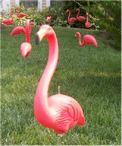 Pink flamingo