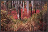 Tom Eckles, photography, 'Yosemite Colors'