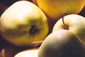The Apple Farm