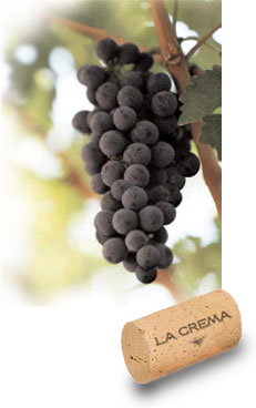 La Crema grapes