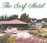 Surf Motel logo