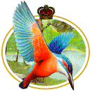 Kingfisher Beer